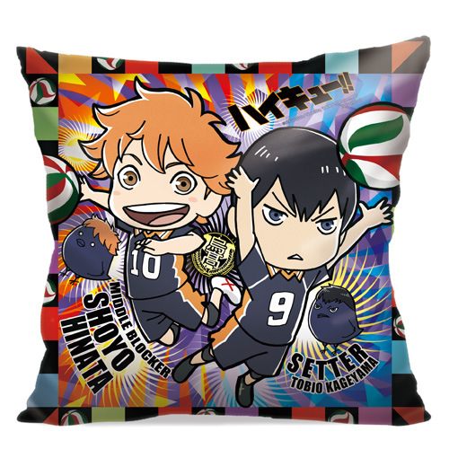 Haikyu-HP-1-A_500.JPG
