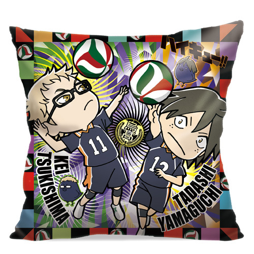 Haikyu-HP-1-B_500.JPG