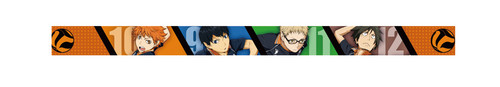 Haikyu-DW-2-Signal_500.JPG