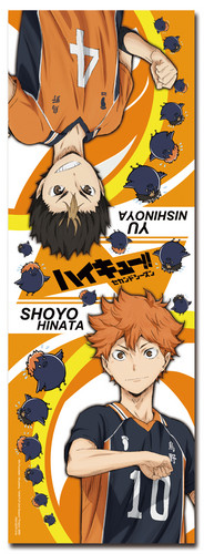 Haikyu-Second-Season-TP-1A_500.JPG